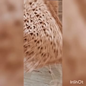 کیف خوشه